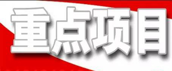 抓住项目不放松---王勤光到同花顺电子体育集团调研重点项目情况
