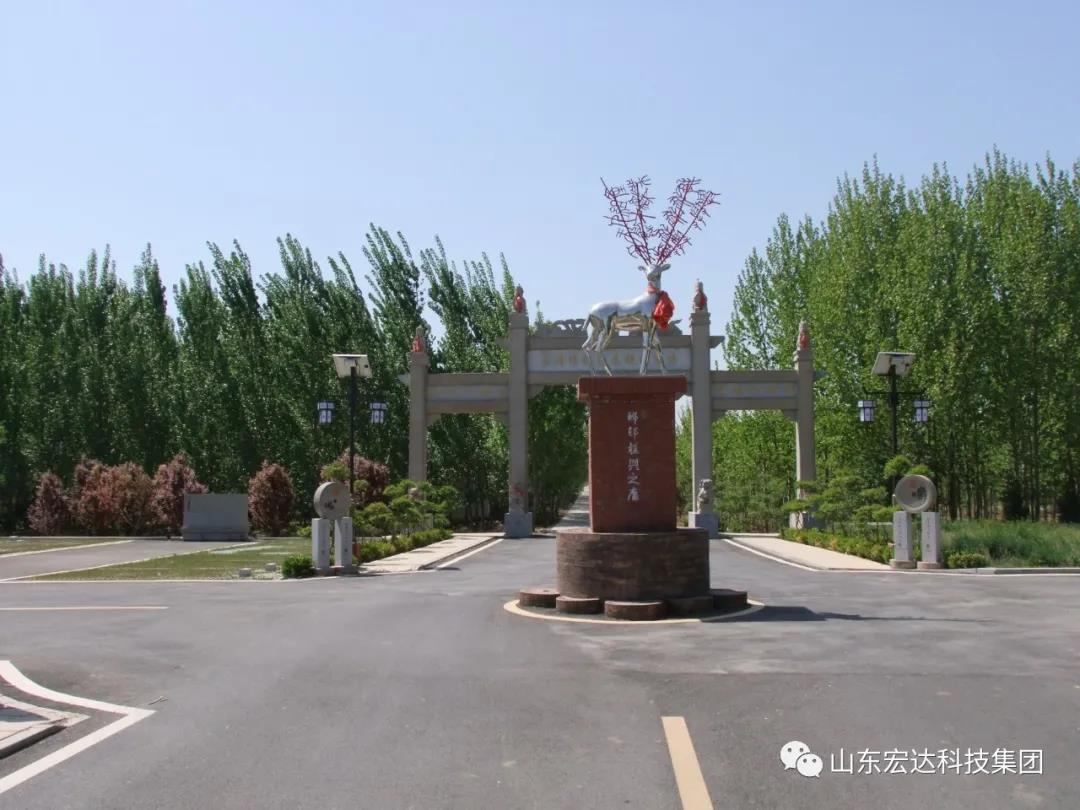 山东同花顺电子体育集团举办党史学习教育活动